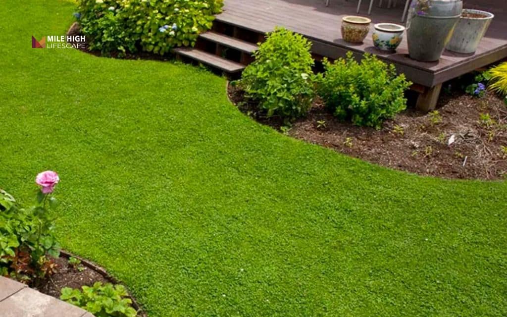 Cheap front yard landscape ideas: Ditch part of the lawn for ground cover