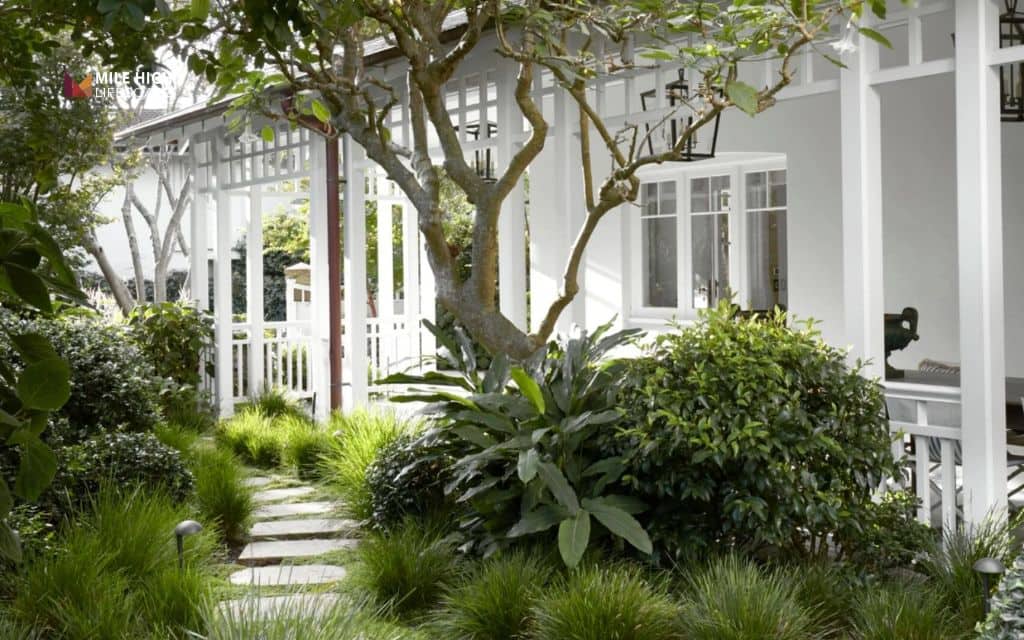 Desert front yard landscape: Frame the entryway with plants and rock