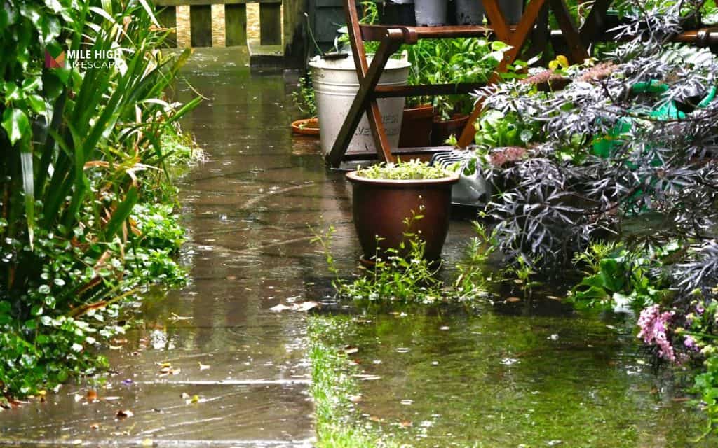 Desert front yard landscape: Group plants by water need (hydrozoning)
