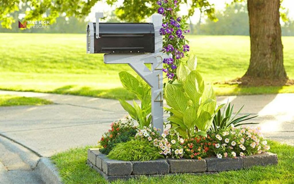 Cheap front yard landscape ideas: Grow flowers around the mailbox or lamp post