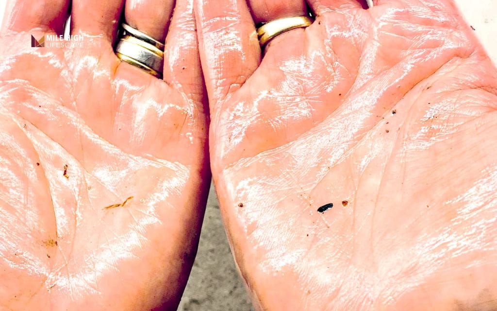 How to remove tree sap from hands & skin