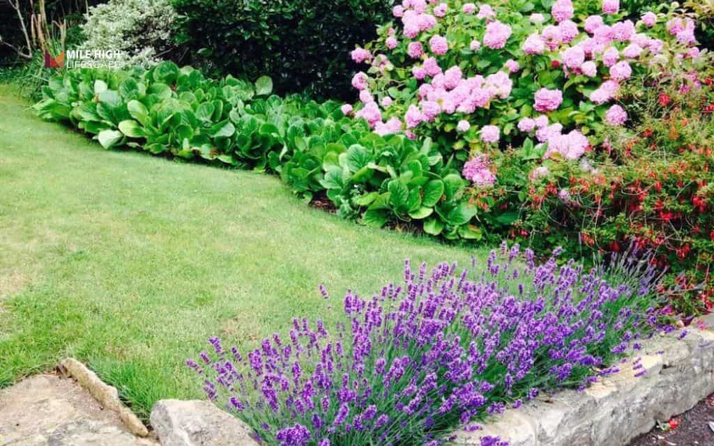 Lavender landscape ideas: Include lavender in a sensory garden