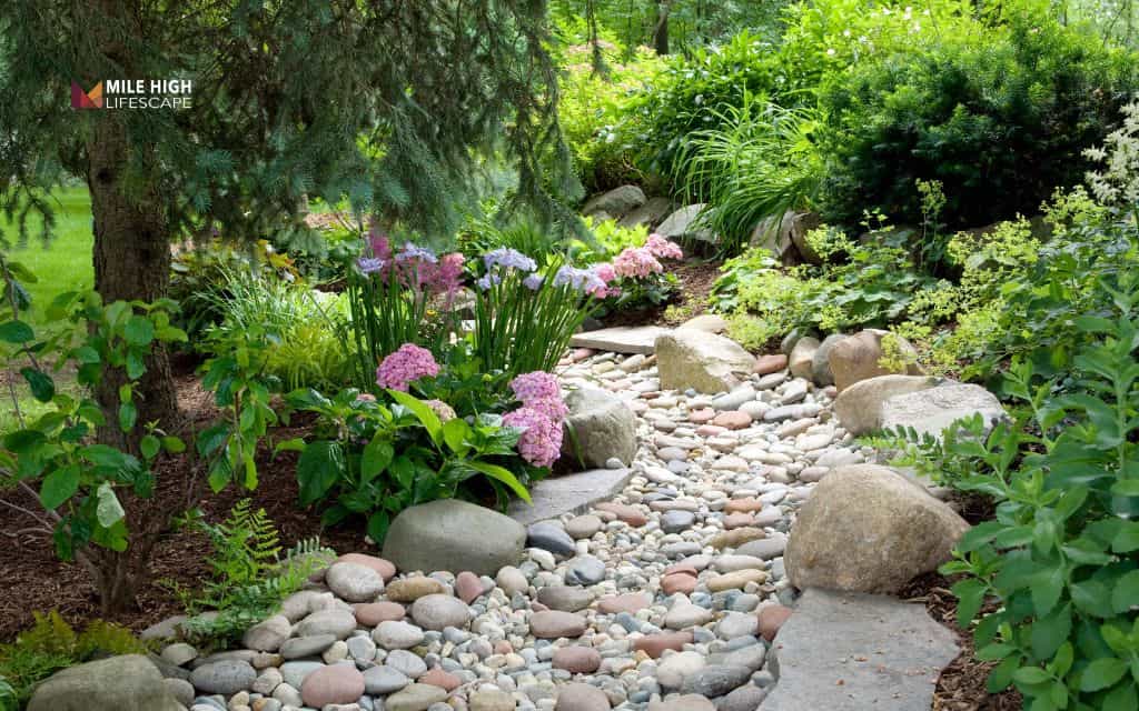 Desert front yard landscape: Install a dry creek bed