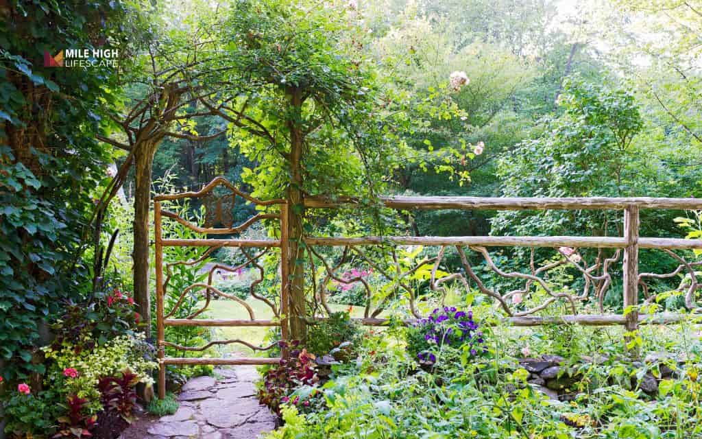 Cheap front yard landscape ideas: Install a trellis or arbor