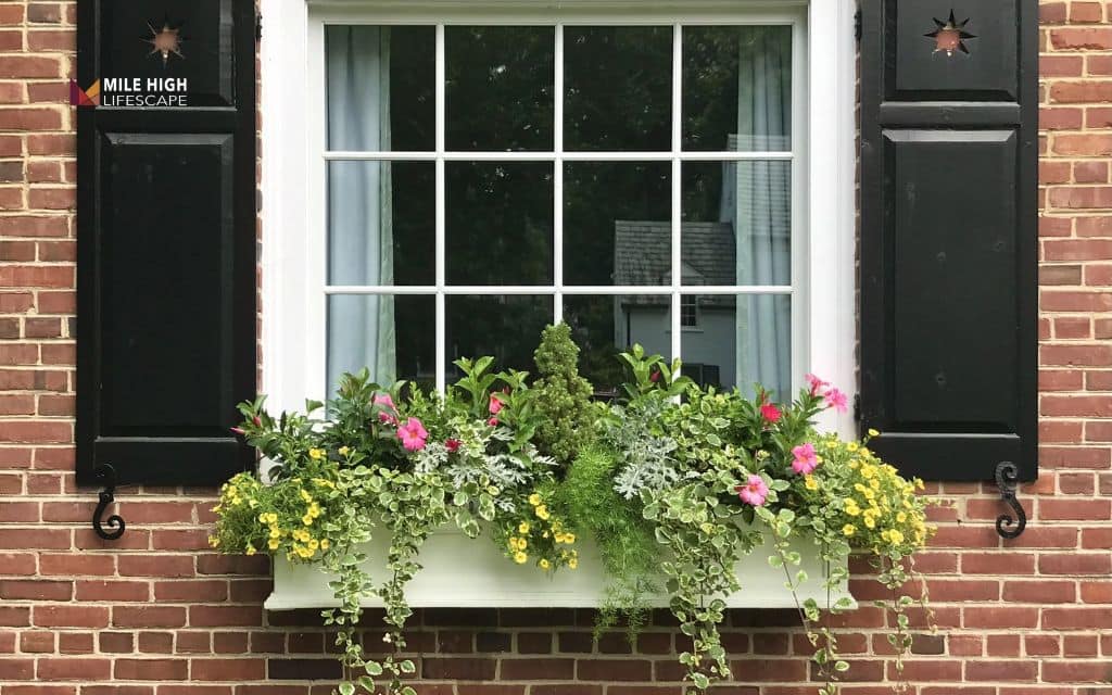 Cheap front yard landscape ideas: Install window boxes
