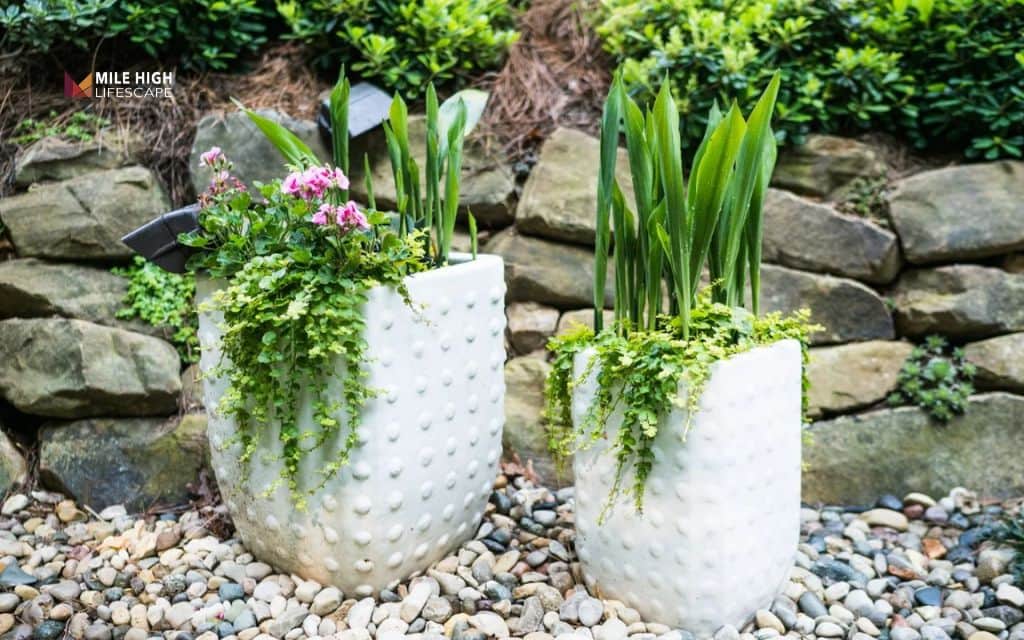 landscaping ideas: Landscape with potted plants
