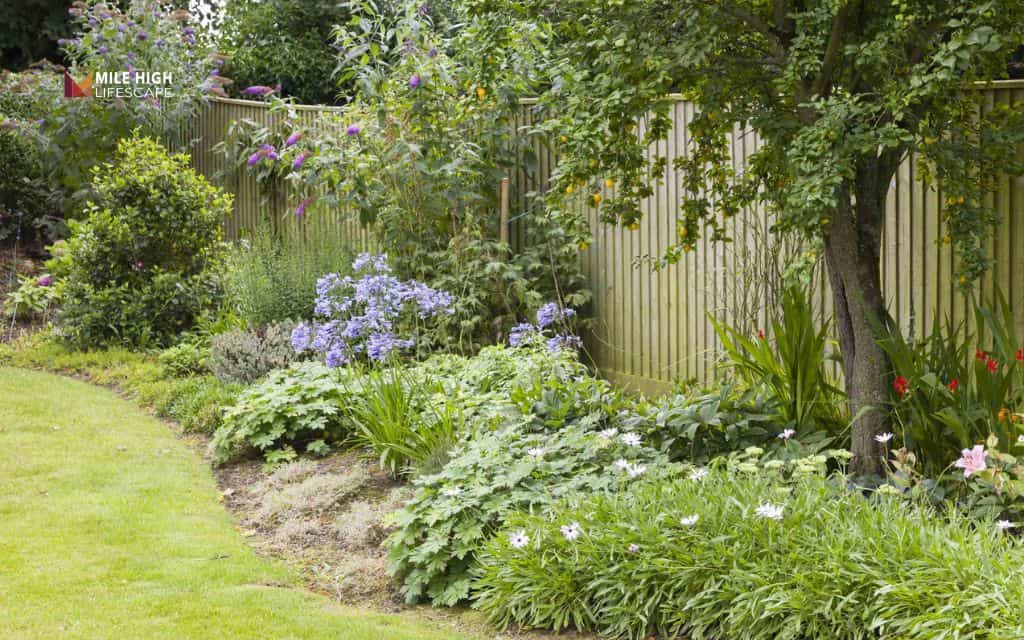 Flower bed ideas: Line a fence with flowers and shrubs