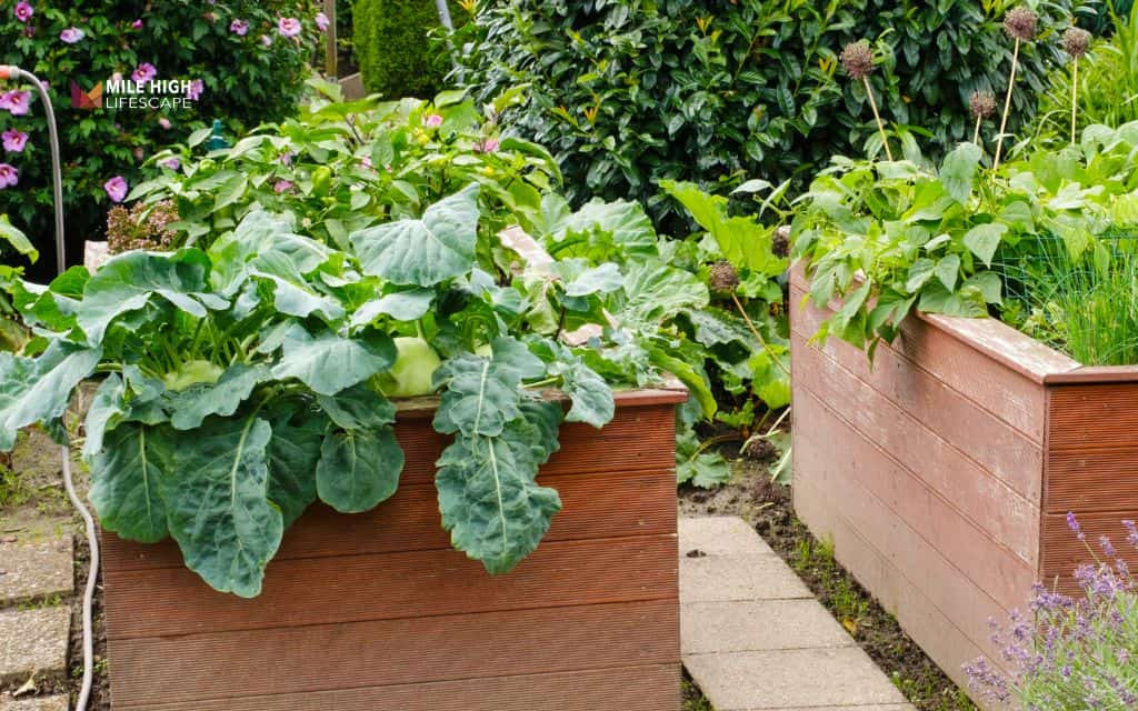 Cheap front yard landscape ideas: Make raised beds without frames