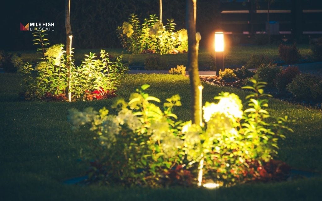 House landscape lighting: Make statement trees shine at night