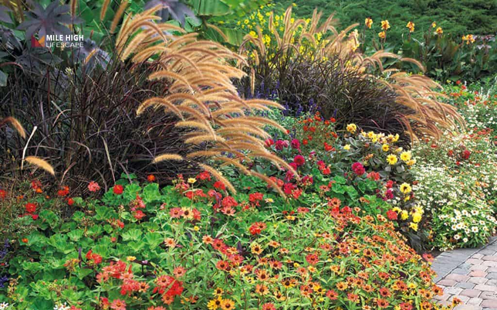 Flower bed ideas: Mix flowers with ornamental grasses