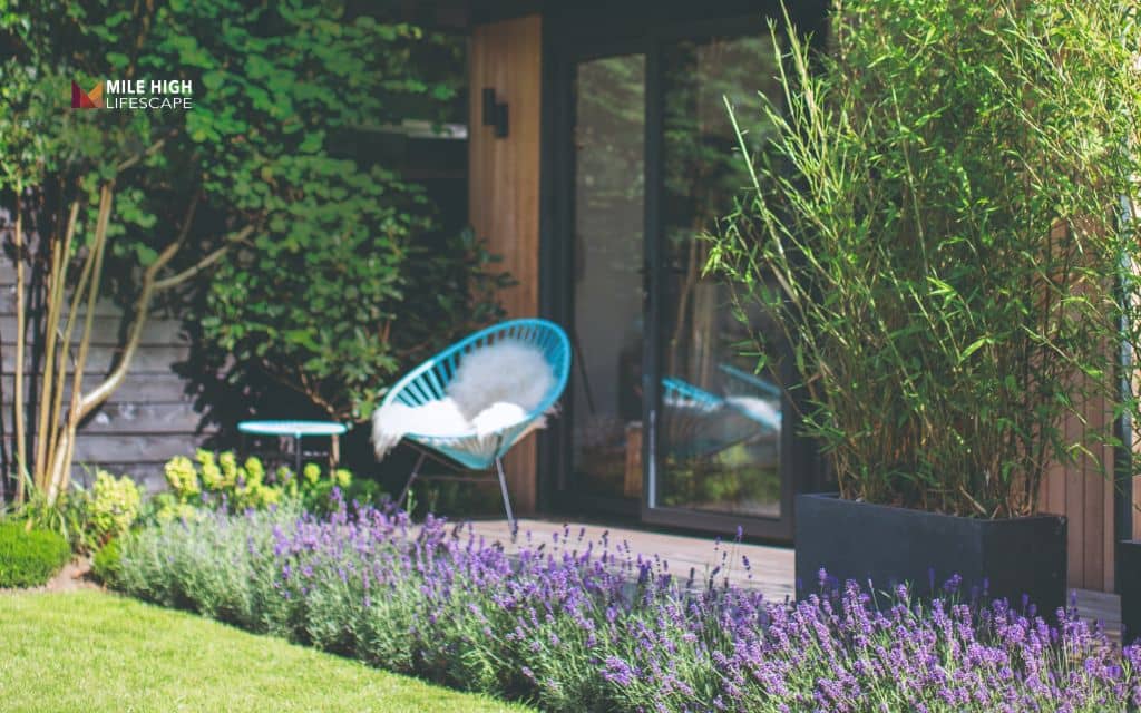 Lavender landscape ideas: Put lavender front and center in garden design