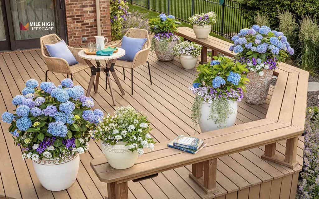 Cheap front yard landscape ideas: Put out pots and container gardens