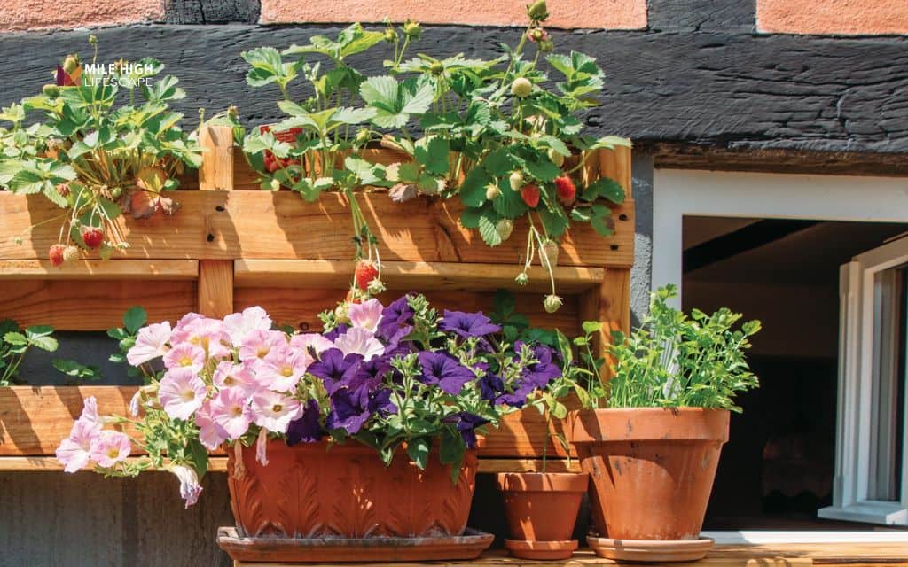 Cheap front yard landscape ideas: Repurpose household items as planters