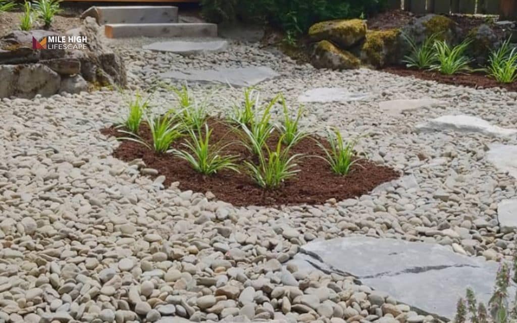 Save water with xeriscaping