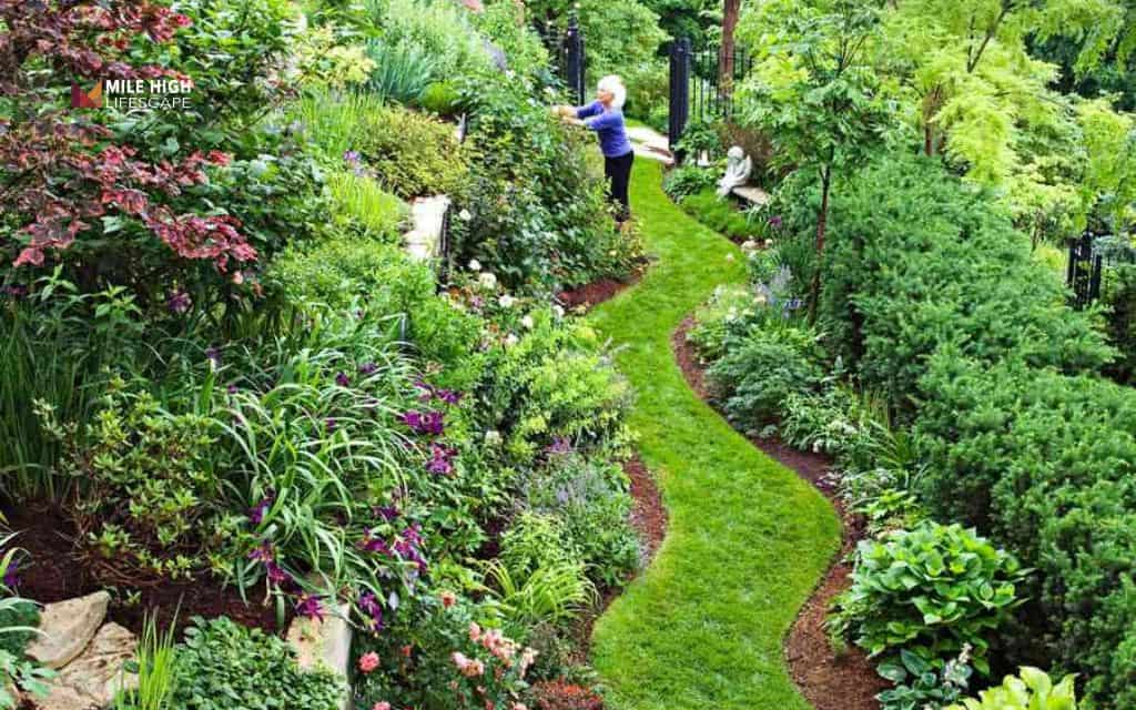 Hillside landscaping ideas: Soften the slope with shade plantings