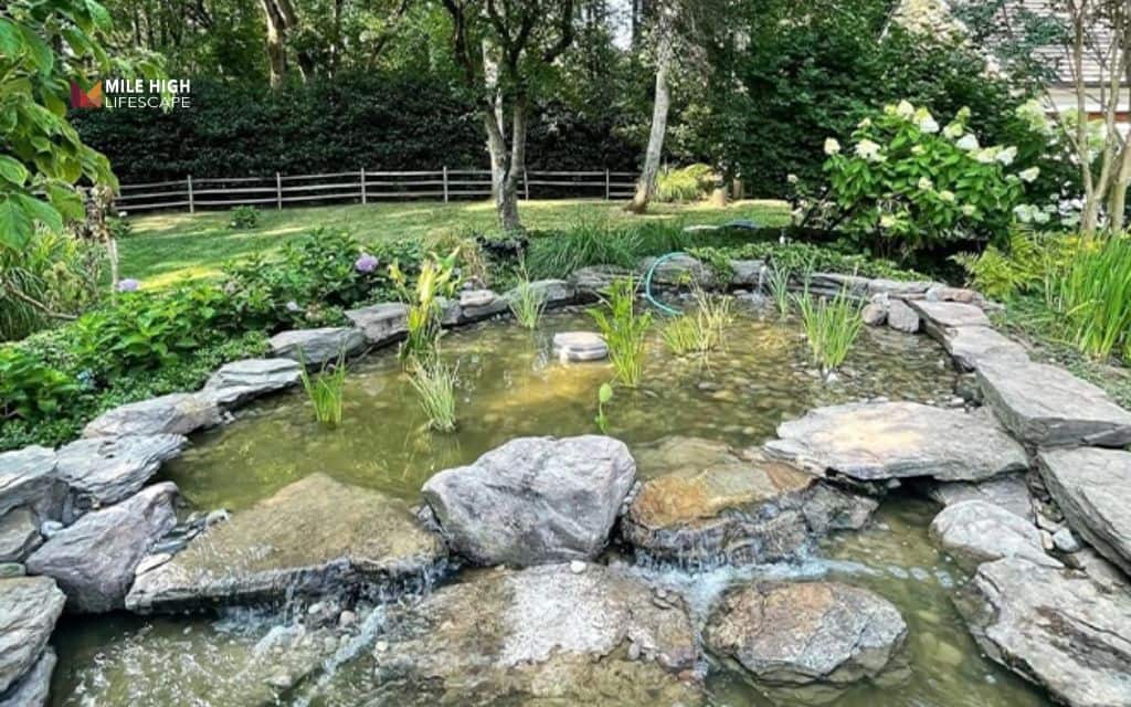Pond landscape ideas: The bog garden pond