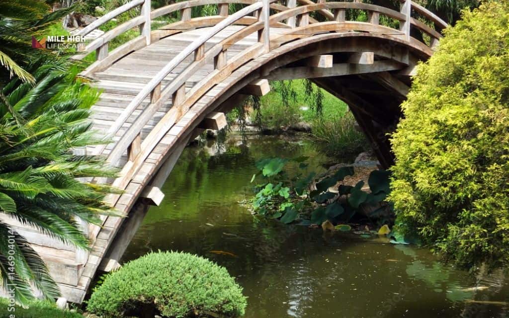 Pond landscape ideas: The bridge pond