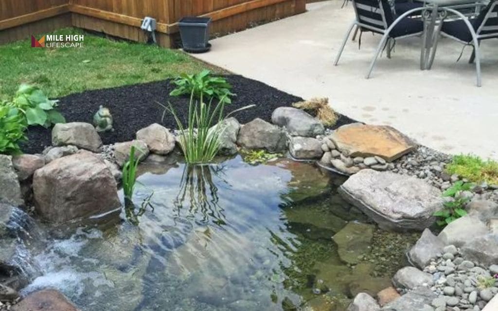 Pond landscape ideas: The classic wildlife pond