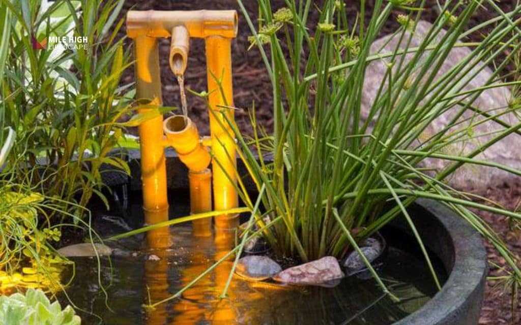 Pond landscape ideas: The decorative patio pond
