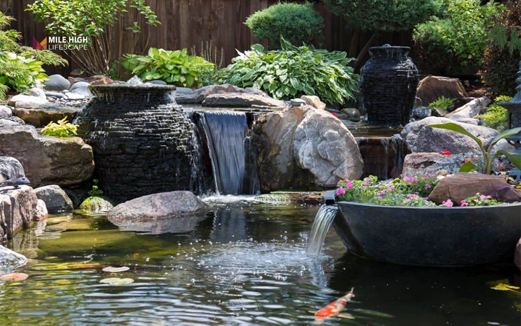 Pond landscape ideas: The ecosystem pond