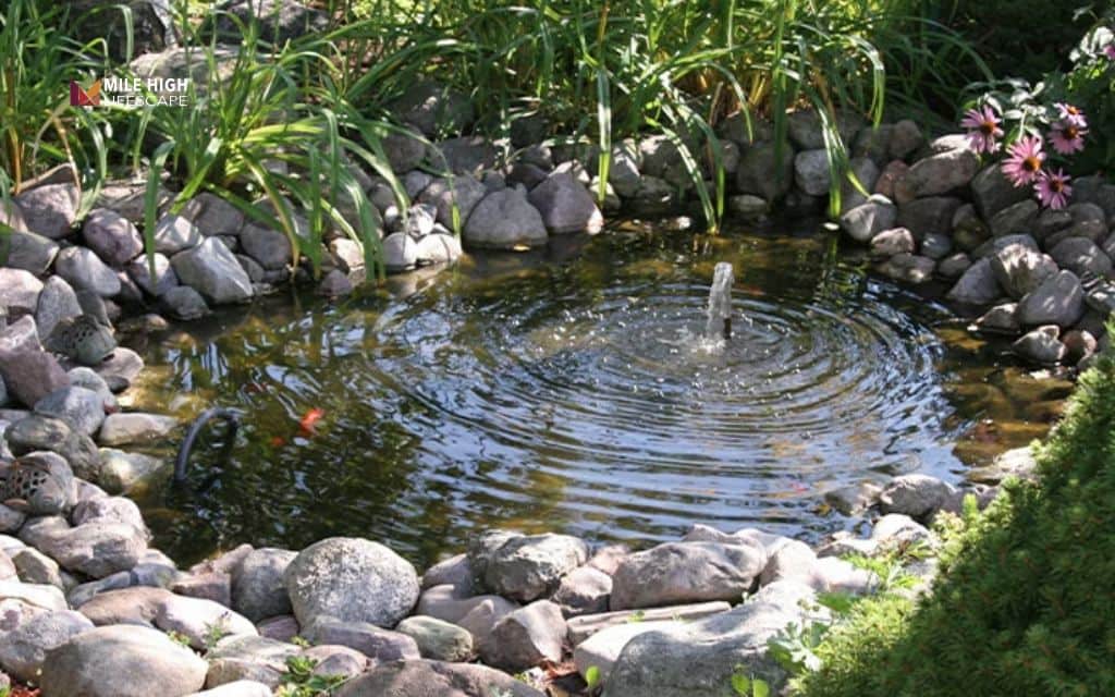 Pond landscape ideas: The fountain pond