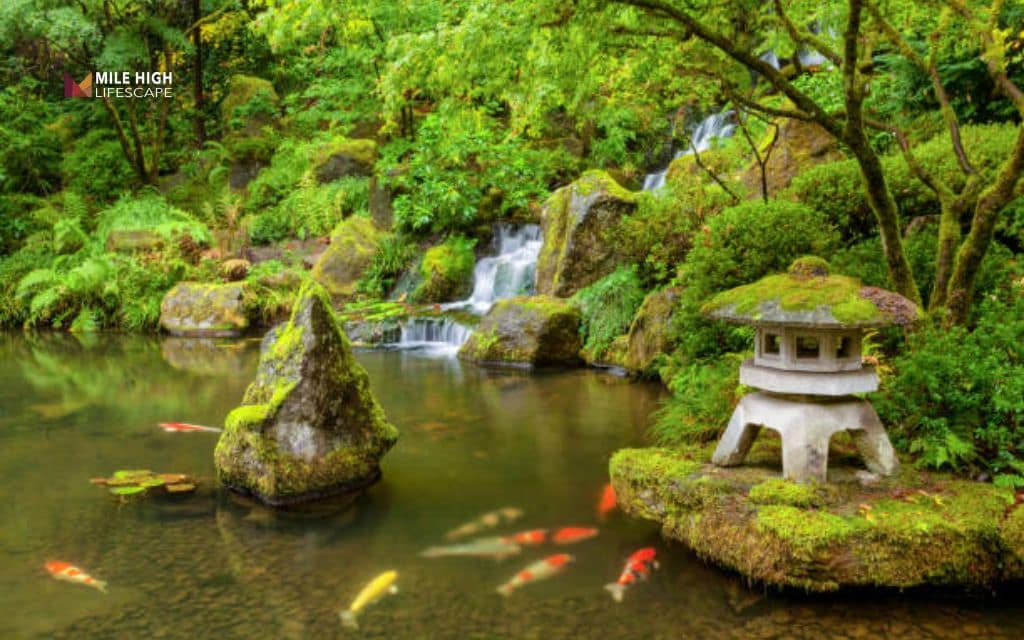 Pond landscape ideas: The Japanese Zen pond