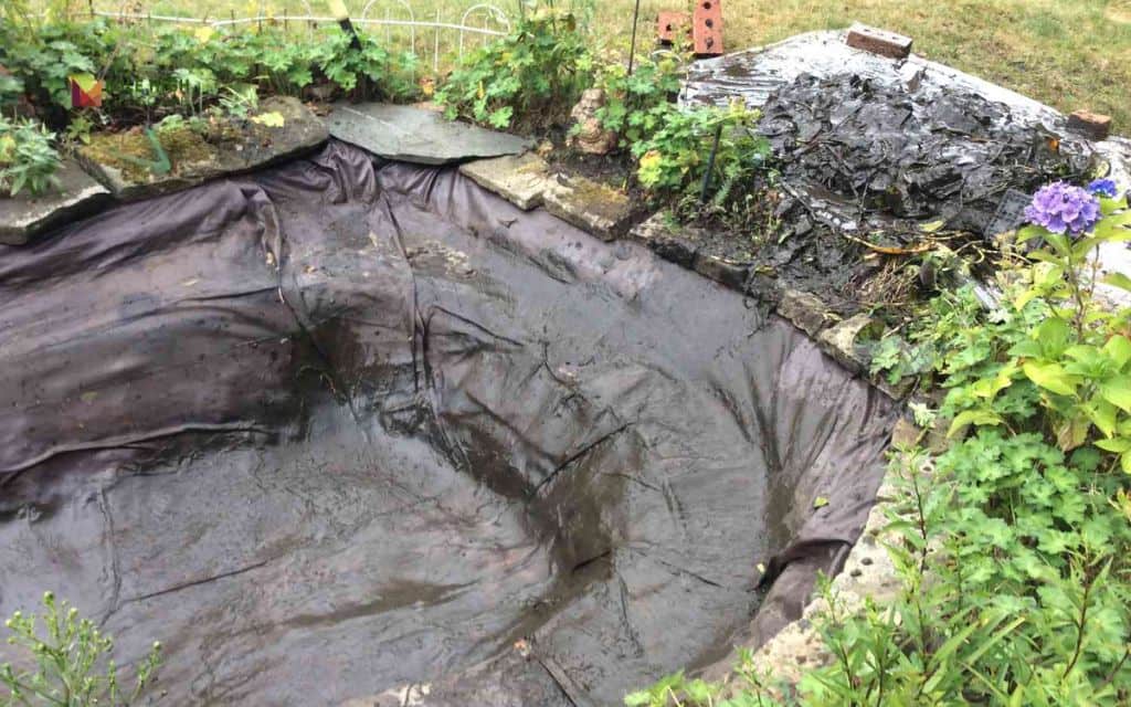 25 Pond Landscape Ideas to Transform Your Garden : The natural DIY pond