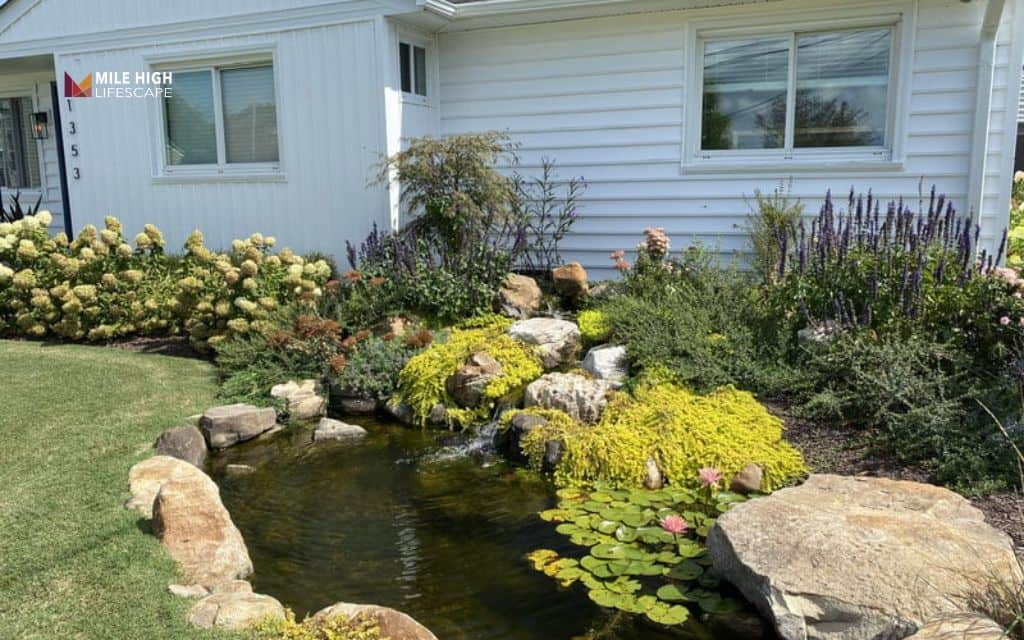 Pond landscape ideas: The pollinator-friendly pond