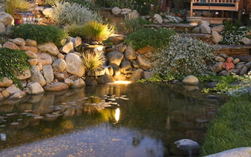 Pond landscape ideas: The pond with ambient lighting