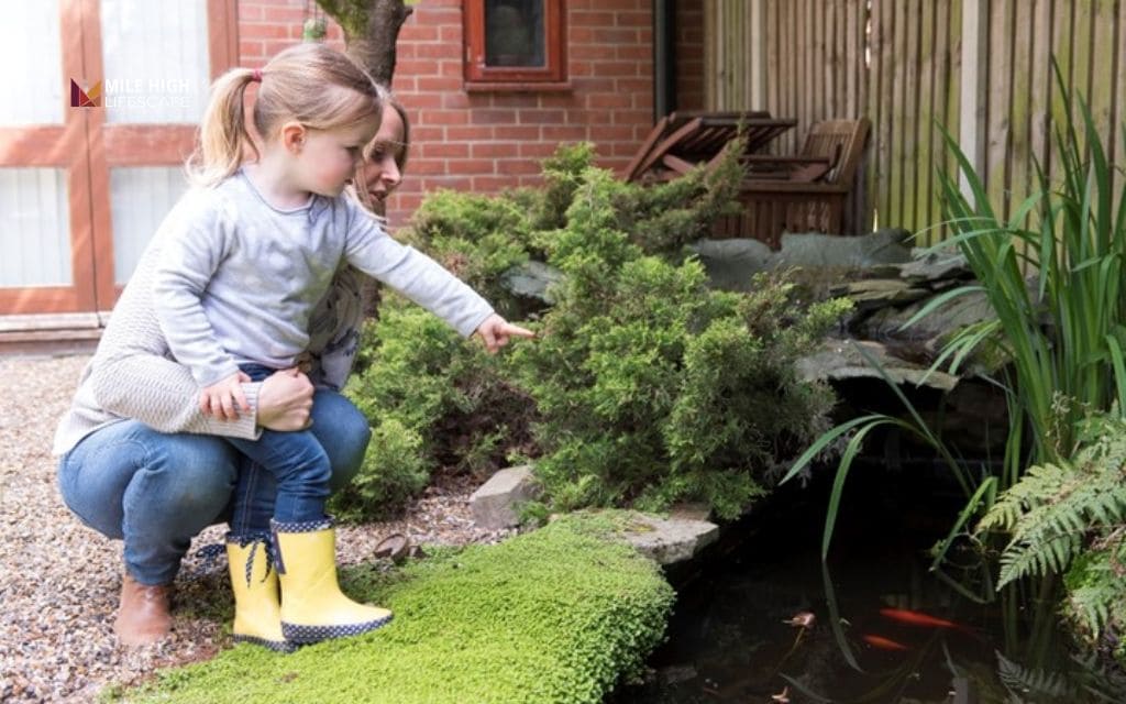 Pond landscape ideas: The shallow children's pond