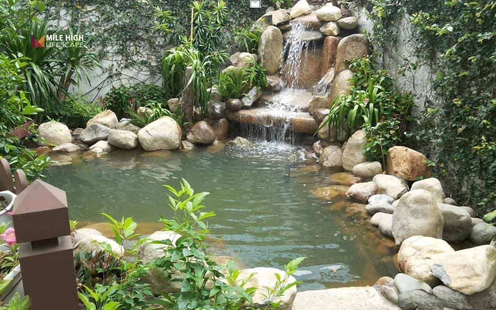 Pond landscape ideas: The stream-fed pond