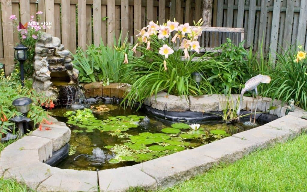 Pond landscape ideas: The water garden pond