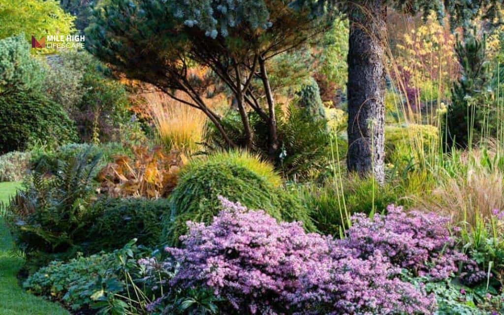 Flower bed ideas: Try a natural flower bed without edging