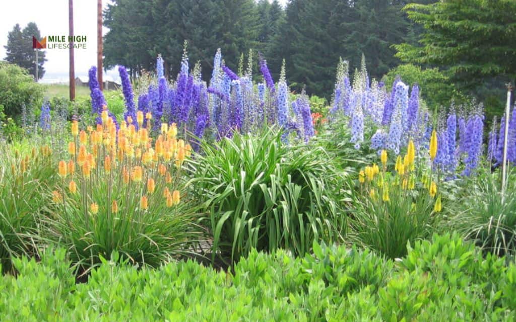 landscaping ideas: Try layered landscaping