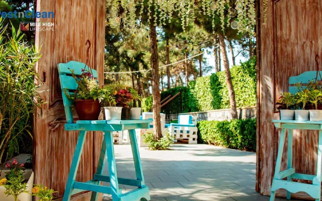 Desert front yard landscape: Use a limited color palette