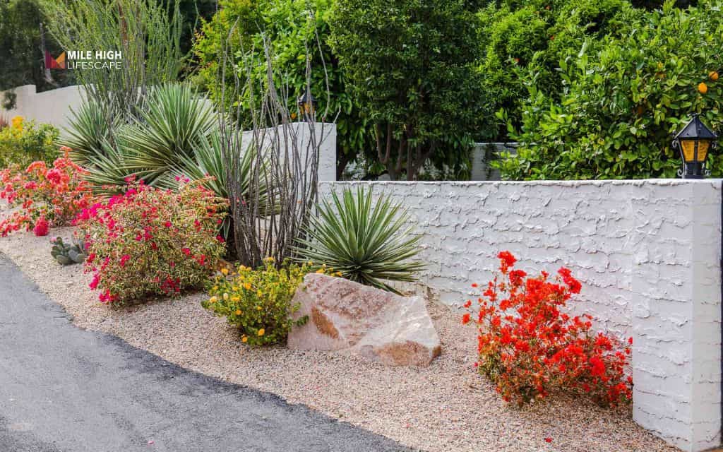 Desert front yard landscape: Use drought-tolerant shrubs