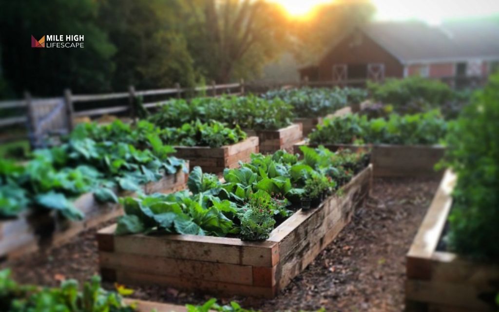 Flower bed ideas: Use flower pots to create flexible beds