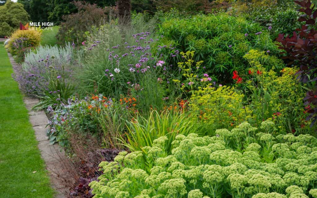 Hillside landscaping ideas: Use layered planting for depth and texture