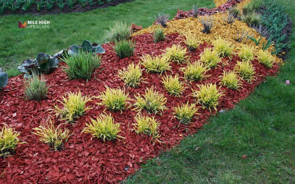 Use mulch to simplify maintenance