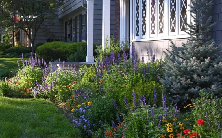 Landscape ideas for front of house: 25 easy landscape ideas for front of house to refresh your entryway