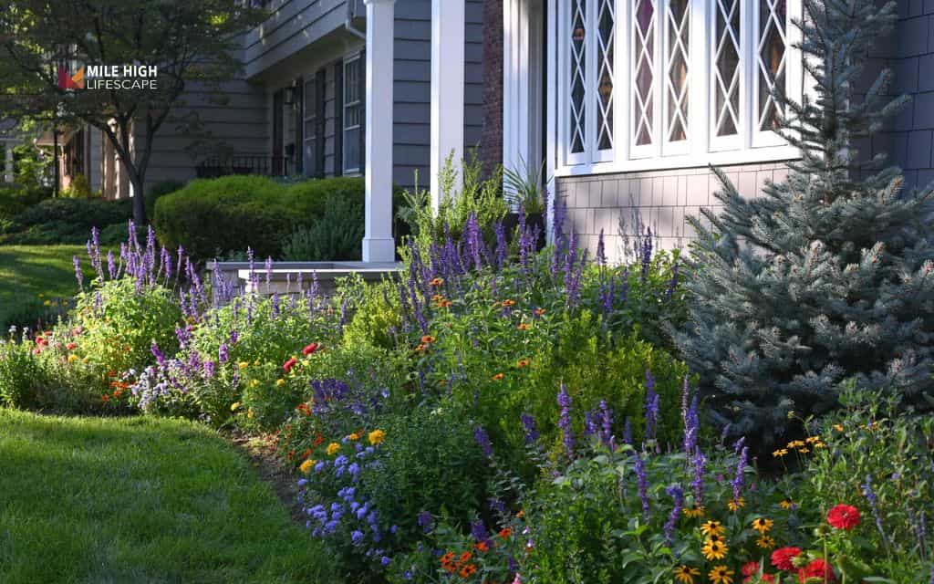Landscape ideas for front of house: 25 easy landscape ideas for front of house to refresh your entryway