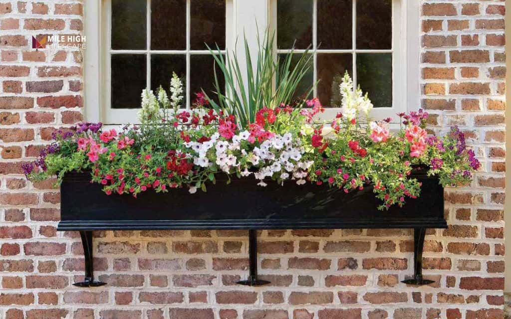 Landscape ideas for front of house: Add window boxes or hanging baskets for instant color