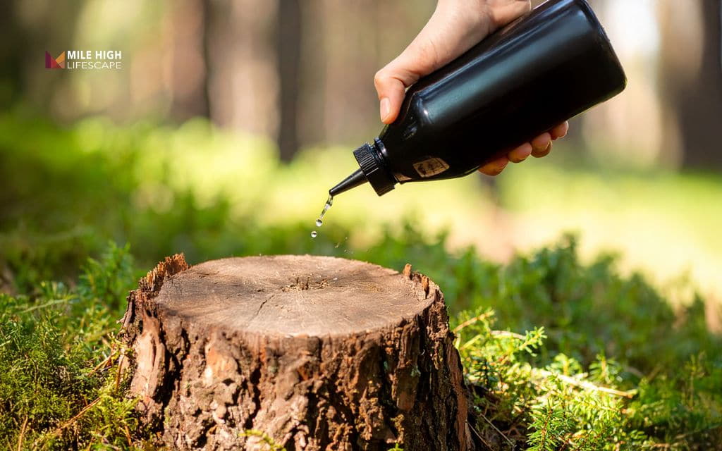 How To Get Rid Of Tree Stumps: Chemical stump removers
