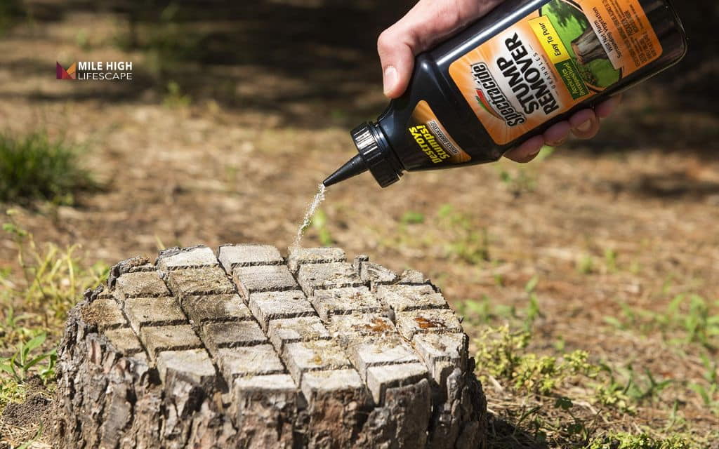 How To Get Rid of Tree Trunks: Chemical stump removers