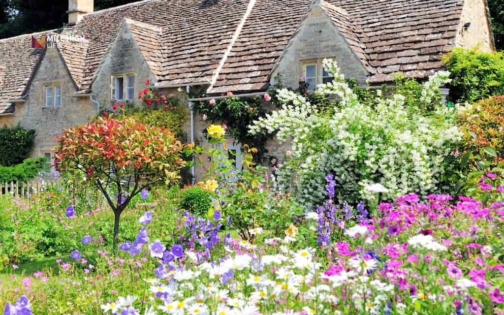 Landscape ideas for front of house: Cottage garden: layered, romantic, and full of color