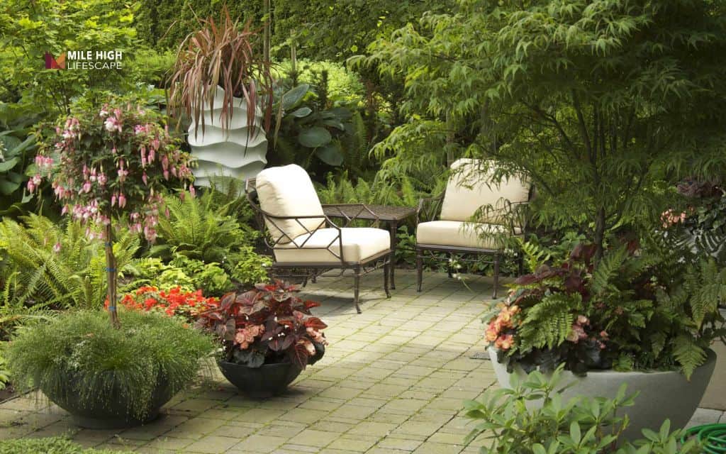 Create a container garden on steps or the porch