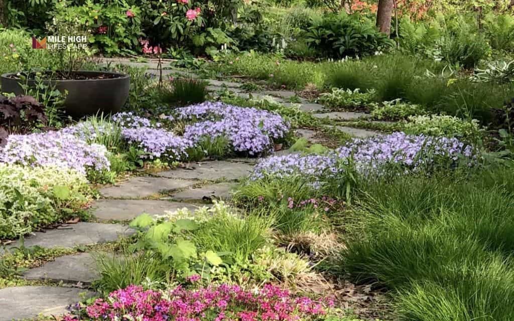 Landscape ideas for front of house: Create a small flower bed along the front walk