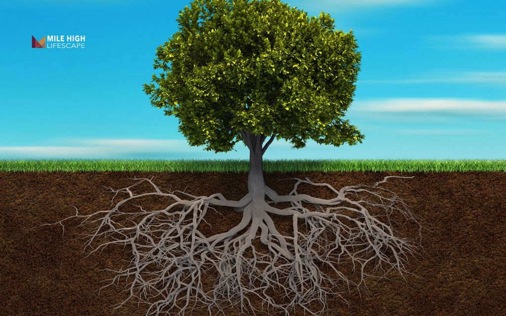 Deep rooted trees