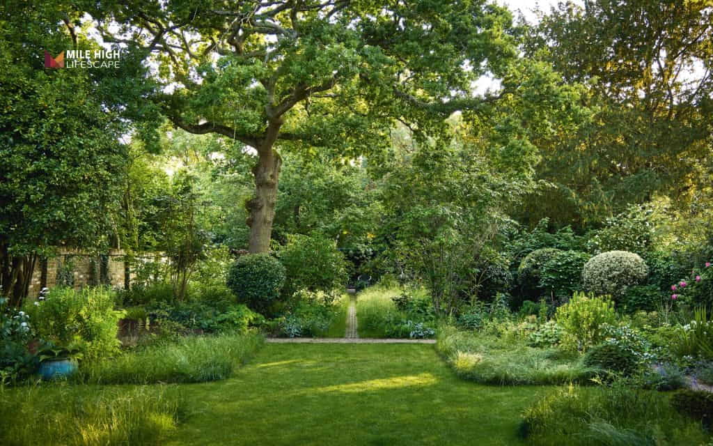 Deadwood tree: Extends tree life and redirects nutrients to healthy growth