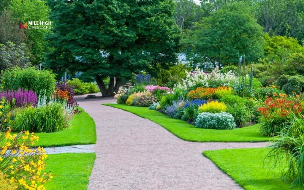 Benefits of trimming trees: Improved curb appeal and property value
